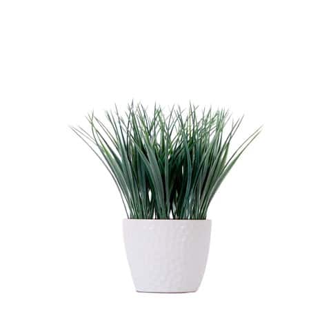 9″ Artificial Grass Plant with Decorative Planter | Rental