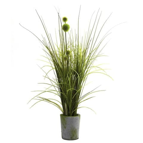 Grass & Dandelion w/Cement Planter | Rental