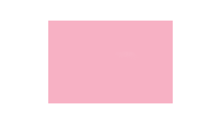 Light Pink Backdrop Rental | Rental