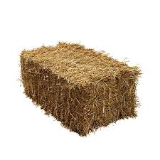 Hay Bail (Real) | Rental
