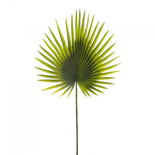 Decostar™ Faux Fan Palm Leaf – 36″ | Rental